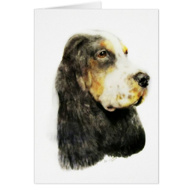 Englisch Cocker spaniel (Vorne)