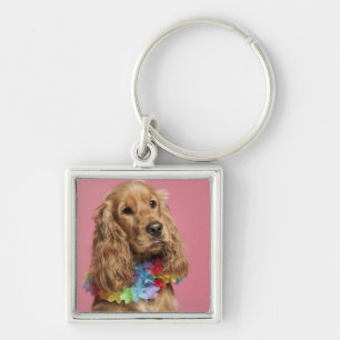 Englisch Cocker spaniel (10 Monate alte) Schlüsselanhänger