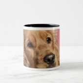 Englisch Cocker spaniel (10 Monate alte) Zweifarbige Tasse (Mittel)