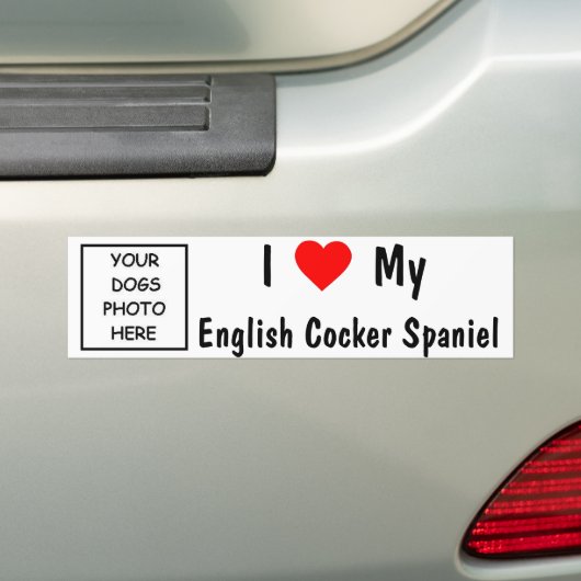 Englisch Cocker spaniel Autoaufkleber (Auf Auto)