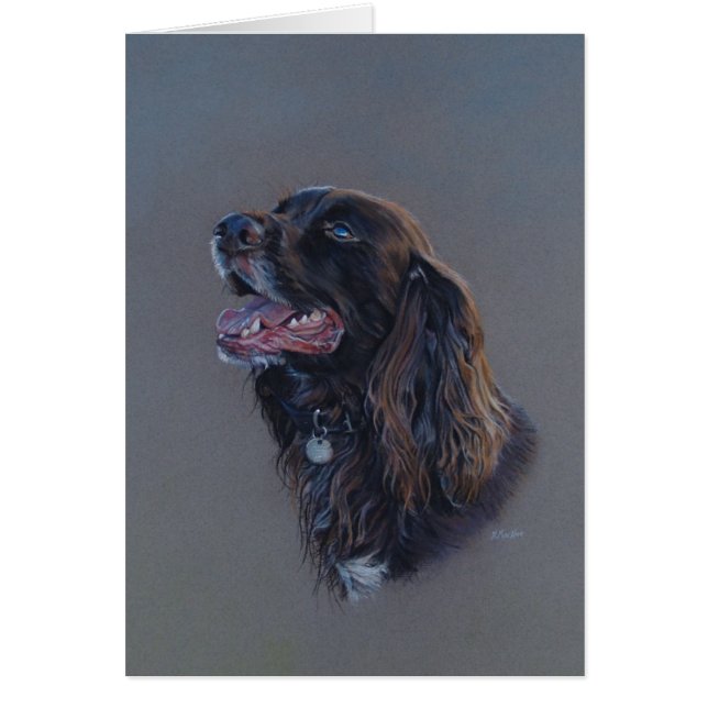 Englisch-Cocker spaniel-Hund. Schöne Kunst, leere (Vorne)
