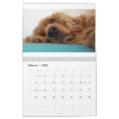 Englisch-cocker spaniel-Kalender Kalender (Feb 2026)