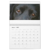 Englisch-cocker spaniel-Kalender Kalender (Mär 2027)