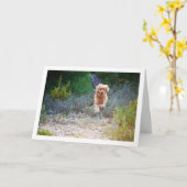 Englisch Cocker Spaniel läuft in Land Karte (Gelbe Blume)