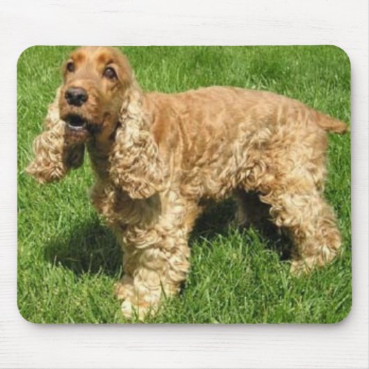 Englisch Cocker spaniel Mousepad (Vorne)