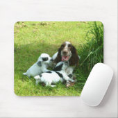 Englisch Cocker spaniel und Welpen Mousepad (Mit Mouse)