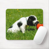 Englisch-Cocker spaniel-Welpe Mousepad (Mit Mouse)