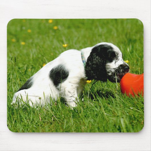 Englisch-Cocker spaniel-Welpe Mousepad (Vorne)