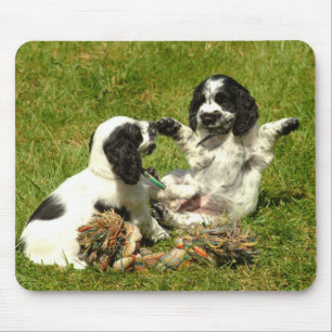 Englisch-Cocker spaniel-Welpen Mousepad