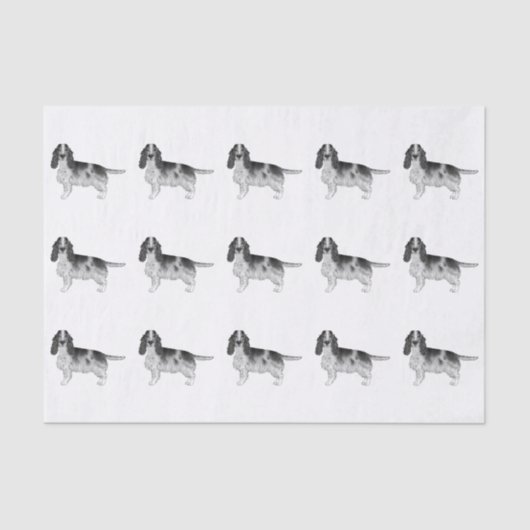 Englisch Cocker Spanisch in Schwarz-Weiß-Muster Seidenpapier (Vorderseite)