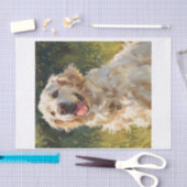Englisch Golden Retriever12 Seidenpapier (Handwerk)
