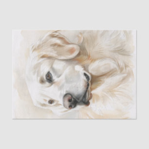 Englisch Golden Retriever7 Seidenpapier