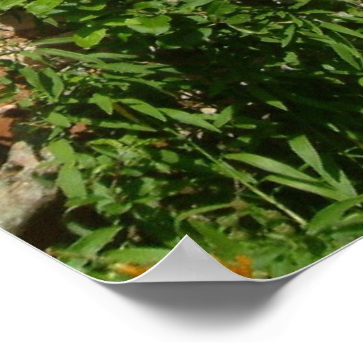 Englisch Hütte I Poster (Ecke)