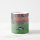 Englisch Jay Kaffeetasse (Mittel)