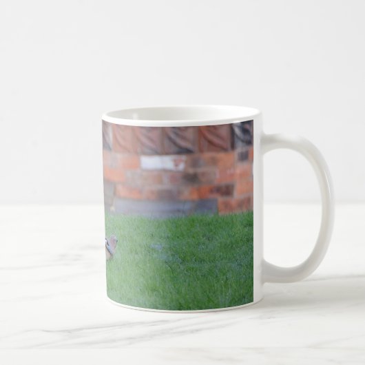 Englisch Jay Kaffeetasse (Rechts)