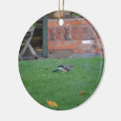 Englisch Jay Keramikornament (Links)