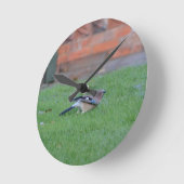 Englisch Jay Runde Wanduhr (Winkel)