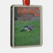 Englisch Jay Silbernes Ornament (Rechts)