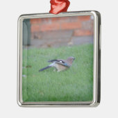 Englisch Jay Silbernes Ornament (Links)