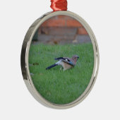 Englisch Jay Silbernes Ornament (Rechts)