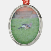 Englisch Jay Silbernes Ornament (Links)