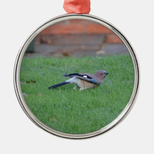 Englisch Jay Silbernes Ornament (Vorne)