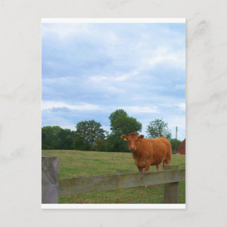 Englisch Landschaftliche Fotos Postkarte