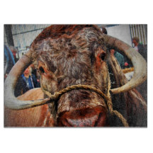 Englisch Long Horn Cow Cattle Poster