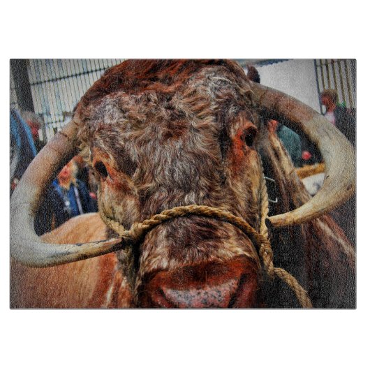 Englisch Long Horn Cow Cattle Poster Schneidebrett (Vorderseite)