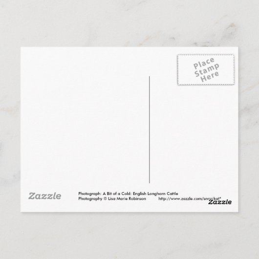 Englisch Longhorn Cattle Cow Postcard Postkarte (Rückseite)