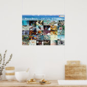 Englisch: Macro Beauty - Shellfish - in Siquijor Poster (Küche)