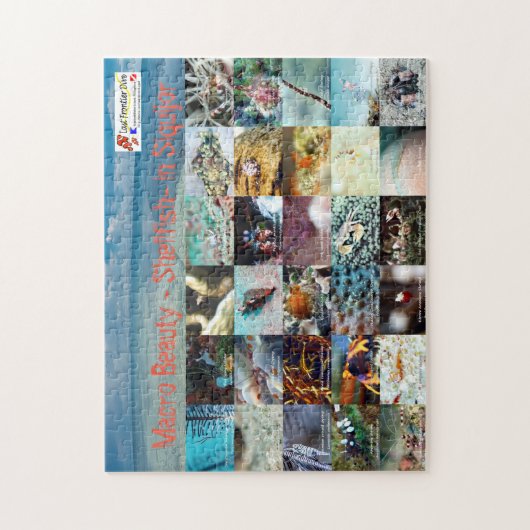 Englisch: Macro Beauty - Shellfish - in Siquijor Puzzle (Vertikal)