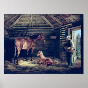 Englisch Mare with their Foals, 1833 Poster