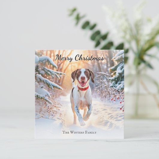 Englisch Pointer Dog Walking in Schnee Weihnachten (Stehend Vorderseite)