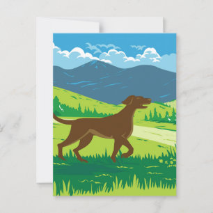 Englisch Pointer Dog with Mount Redfield in Adi Postkarte