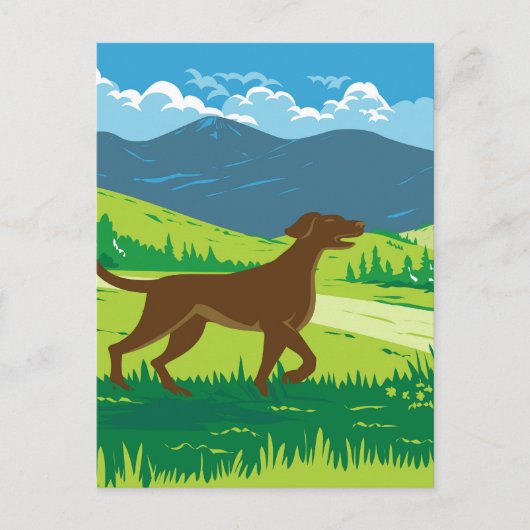 Englisch Pointer Dog with Mount Redfield in Adi Postkarte (Vorderseite)