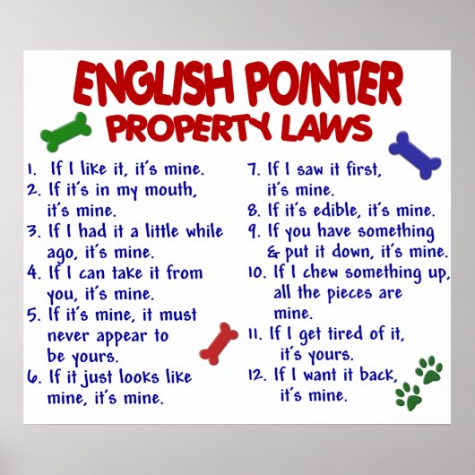 ENGLISCH POINTER PL2 POSTER (Vorne)