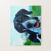 Englisch Pointer. Puzzle (Vertikal)