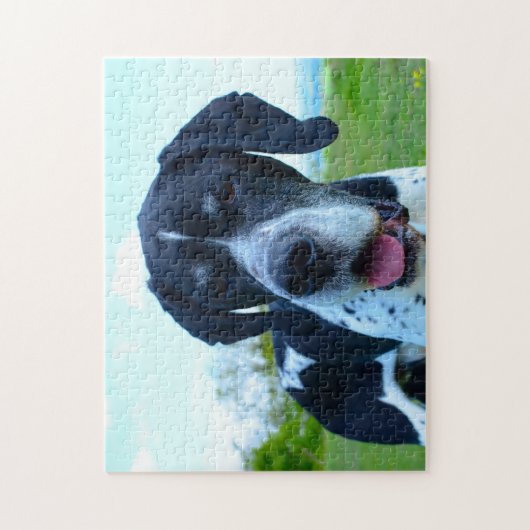 Englisch Pointer. Puzzle (Vertikal)