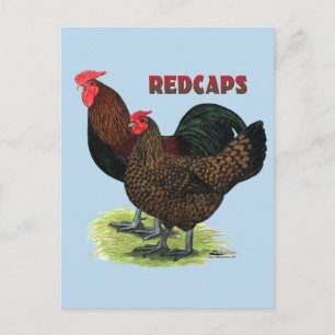 Englisch Redcaps Postkarte