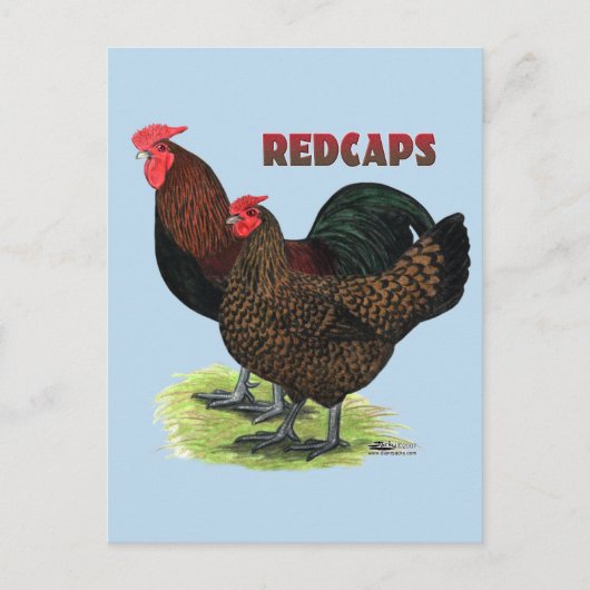 Englisch Redcaps Postkarte (Vorderseite)