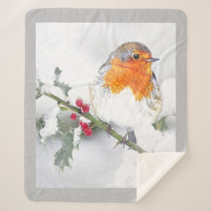 Englisch Robin Bird Winter Snow Bird Wildlife Sherpadecke