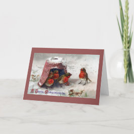 Englisch Robins Under Flower pot Weihnachten