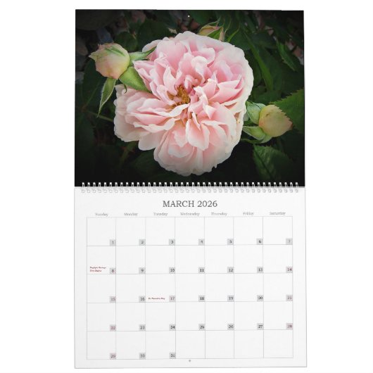 Englisch Rose 2025 Large Wall Calendar by Stan Kalender (Mär 2026)
