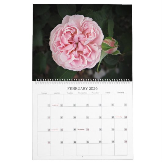Englisch Rose 2025 Large Wall Calendar by Stan Kalender (Feb 2026)