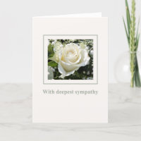 Englisch-Rose-Beileid
