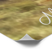 Englisch Setter, Fasanierjagd Poster (Ecke)