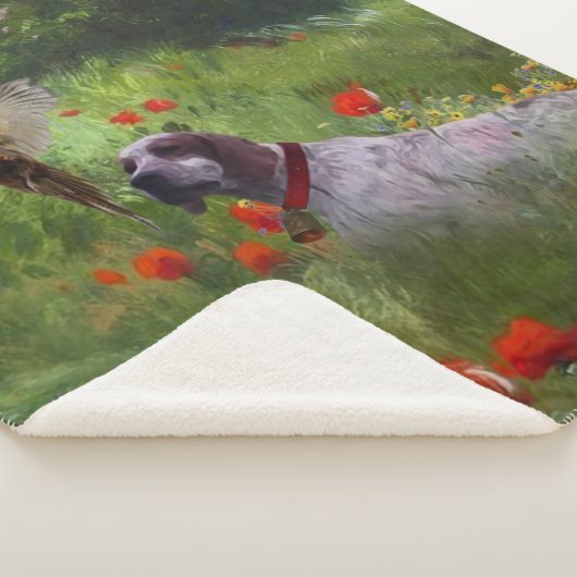 Englisch Setter, Fasanierjagd Sherpadecke (3/4)