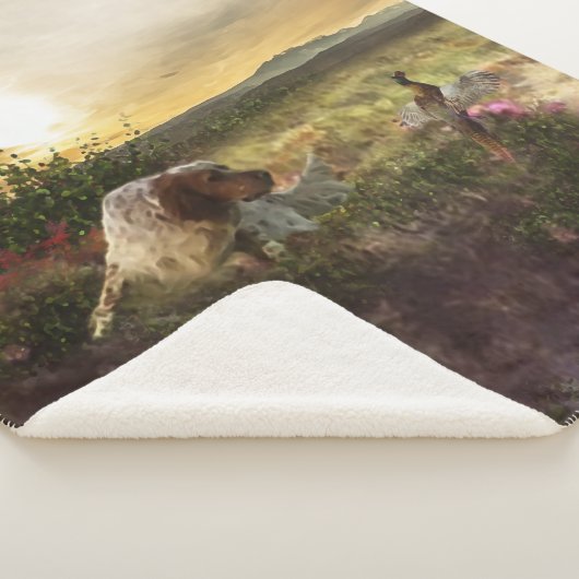 Englisch Setter, Fasanierjagd Sherpadecke (3/4)