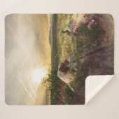 Englisch Setter, Fasanierjagd Sherpadecke (Vorderseite (Horizontal))